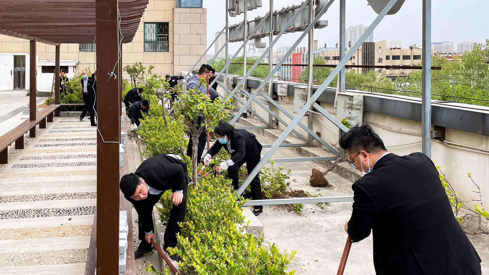 平台花园换新颜-(2).jpg